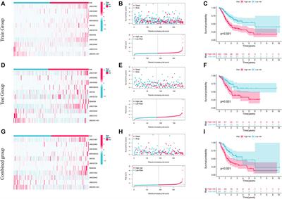 Metabolism-related long non-coding RNA in the stomach cancer associated with 11 AMMLs predictive nomograms for OS in STAD